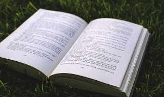 男孩小名可爱萌萌哒的 男孩小名可爱萌萌哒的名字