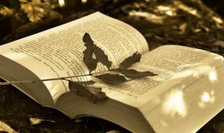 2021吃鸡网名男霸气（2021年个性吃鸡名）