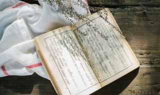 读书百遍其义自见的意思解释（读书百遍其义自见,什么意）