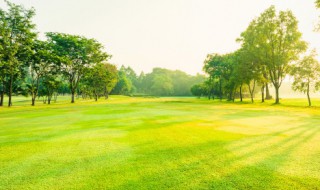如何种植草坪 如何种植草坪视频
