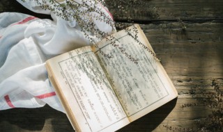 看淡一切的洒脱诗句 哪些诗句是看淡一切的洒脱