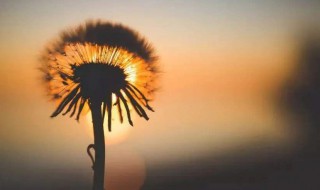 快手句子8字 发快手句子上热门8字霸气句子