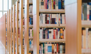 鳙鱼怎么读 鱼庸鳙鱼怎么读