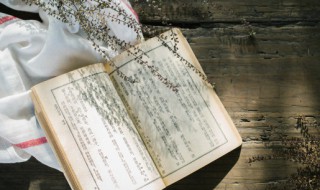 尊王攘夷怎么读（尊王攘夷怎么读音什么意思）