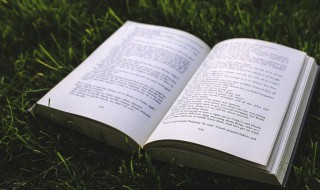 寒露是什么意思含义 寒露 是什么意思