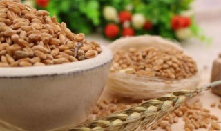 麸质食物都有什么呢 麸质食物有哪些?