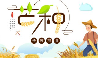 芒种是什么节日（芒种是什么节日又是干什么的）