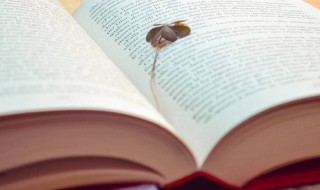 粉丝应援是什么意思（应援啥意思）