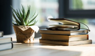 不见经传的意思解释（不见经传的意思是什么意思）