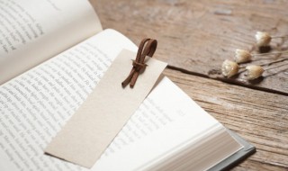 院墙的意思（有院墙这个词吗）