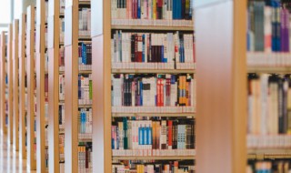 家雀的意思 家雀的意思解释