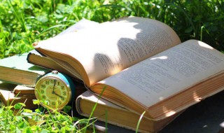 称重的意思（称重的意思yao）