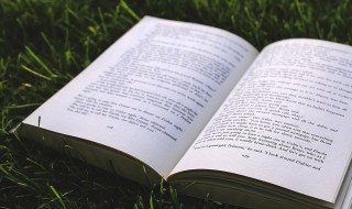 略过的意思 可以略过的意思