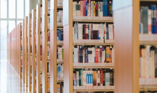 逾矩的意思（越矩和逾矩的意思）