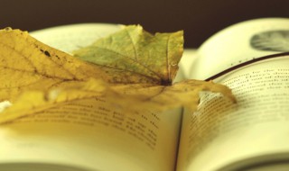 犯上是什么意思 小儿犯上是什么意思