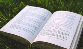 娇爱是什么意思（娇爱是什么意思网络用语）