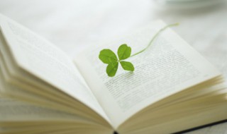 不共戴天的意思解释（不共戴天含义）