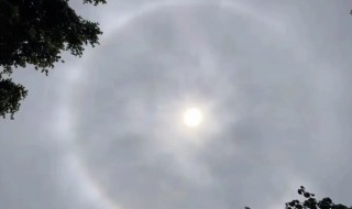 白虹是什么意思 白虹是什么意思?