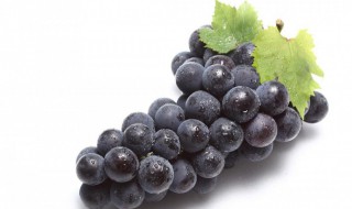 沈阳特产是什么 沈阳特产的介绍