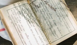 洪帮是什么意思 洪帮的前身