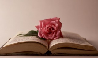 半生半熟的意思解释（半生半熟是成语吗）