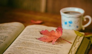 男宝名大全2020洋气 男宝宝小名大全2020洋气男孩