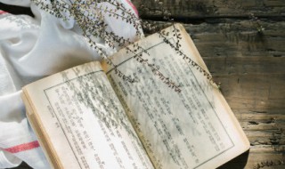 软风是什么意思（软风是什么意思?）