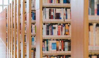 骚奴是什么意思（奴是啥意思）