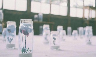 小清新文案句子 小清新 文案