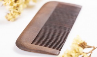 梳子的意思（梳子的意思是什么）