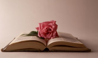 多多益善的意思解释 多多益善的意思解释造句