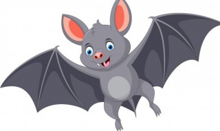 蝙蝠的意思 嗜血蝙蝠的意思