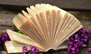 独一无二的抖音名字有哪些（独一无二的抖音名字有哪些男生）