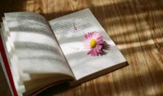 意境唯美的段落摘抄 意境唯美的段落摘抄150字