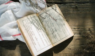 靖节先生是什么意思（靖节居士是谁）