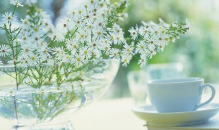 小清新语录暖心（暖心的经典语句）