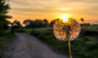 暖心小短句（暖心小短句八字）