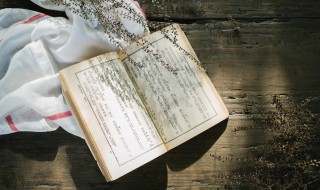 颐然是什么意思 颐的意思在名字里