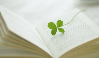 清冷儒雅的男生名字（清冷儒雅的男生名字姓楚）