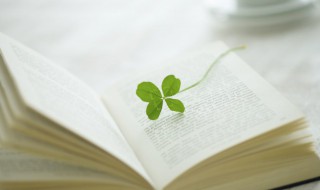 2021最火经典语录(2021最火经典语录励志)