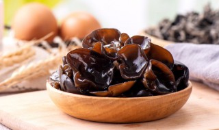 木耳需要泡多长时间 木耳需要泡多长时间?