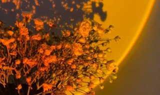 高质量的小众文案（高质量的小众文案段子）