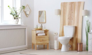 卫生间物品清单（卫生间所需物品清单）