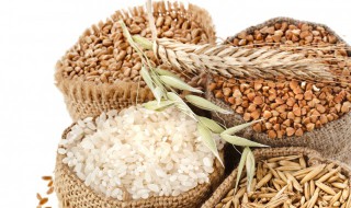 五谷分别都是什么（五谷分别都是什么吗怎么读）