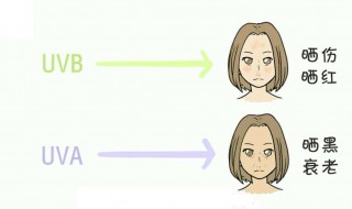 uva和uvb分别代表的是什么呢（UvA和UvB的根本区别）