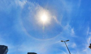 向午是什么意思（午的意思?）