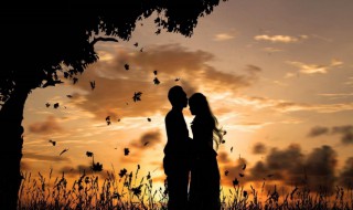 现代情诗大全（现代情诗大全 爱情）