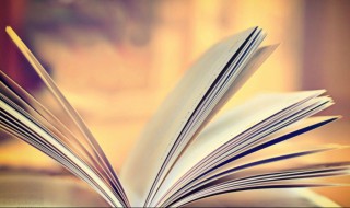 十个开头十个结尾摘抄 十个开头十个结尾摘抄每个20字多一点