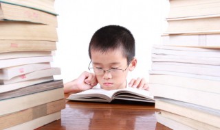 动物的它怎么组词（动物的它怎么组词怎么写）