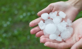 雹怎么组词（冰雹的雹怎么组词）